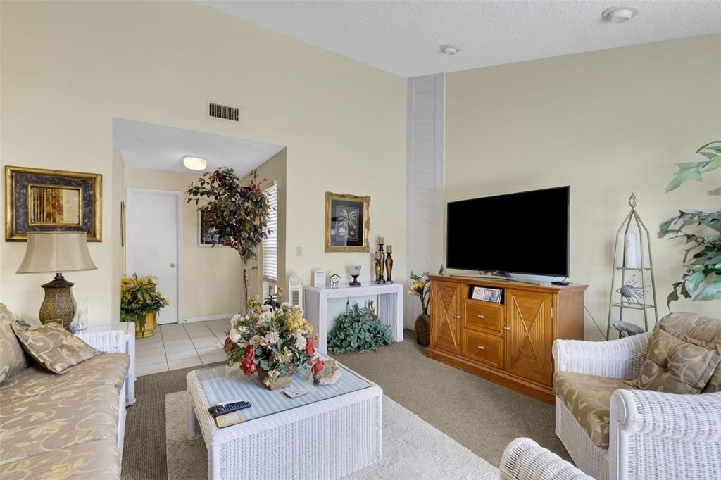 A living room features a television on a wooden console, white wicker furniture, and carpet — 4223 OAK LOOP UNIT 49, MULBERRY, FL