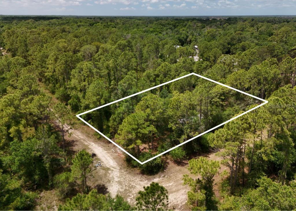 An aerial view shows a rectangular plot of land cleared within a dense pine forest — SW NASSAU AVENUE, ARCADIA, FL