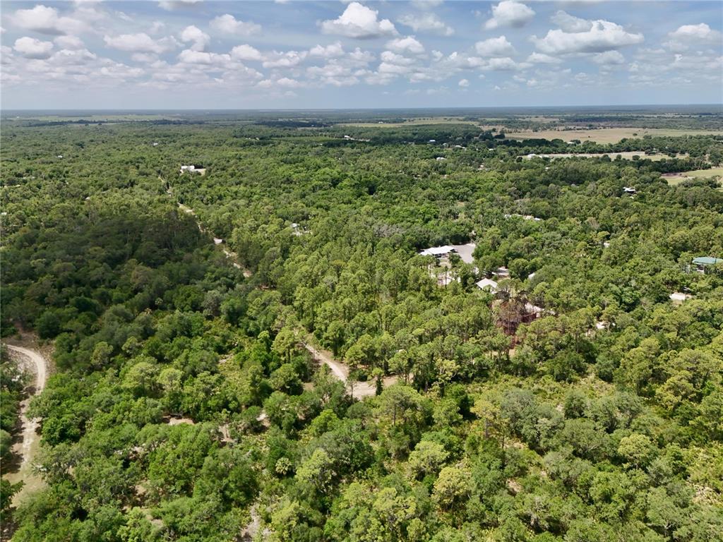 An aerial view shows a wooded landscape with a few houses nestled among the trees — SW NASSAU AVENUE, ARCADIA, FL