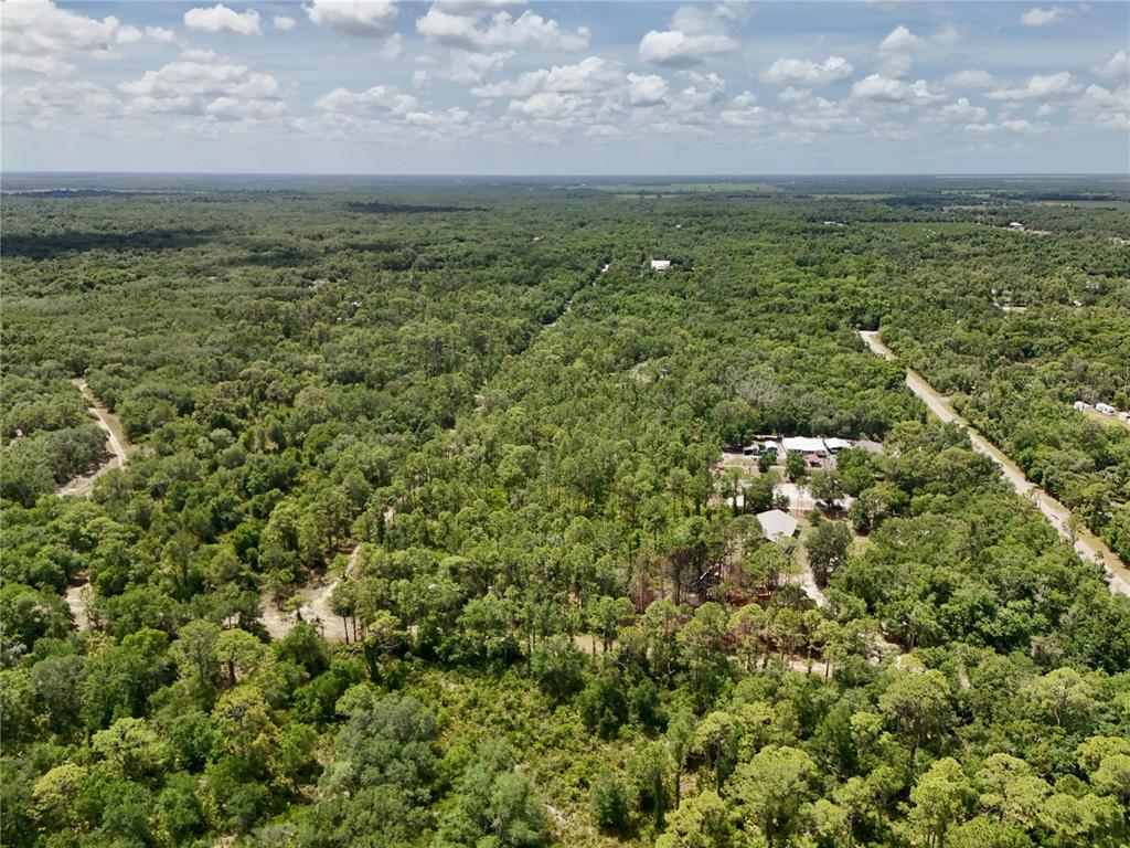 An aerial view shows a wooded landscape with a few houses and a dirt road — SW NASSAU AVENUE, ARCADIA, FL