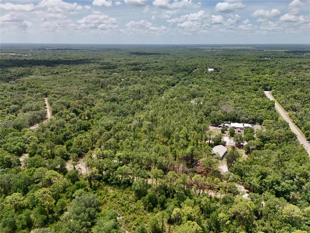 An aerial view shows a house and outbuildings surrounded by dense forest and a road — SW NASSAU AVENUE, ARCADIA, FL