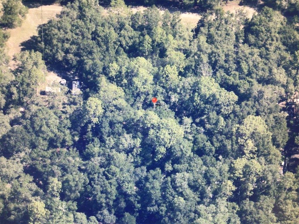 An aerial view shows a dense, wooded lot with a small clearing and a red marker — 0 SW 158 LANE, DUNNELLON, FL