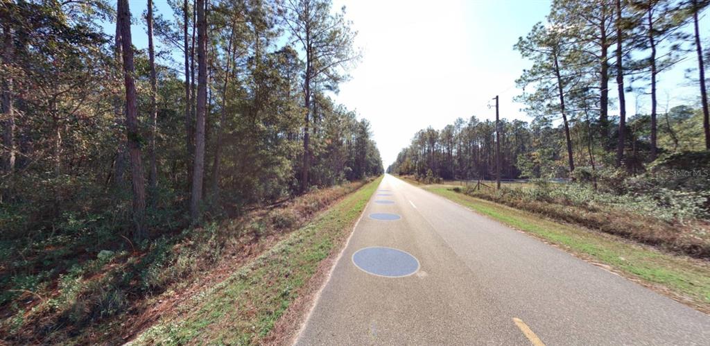 A paved road stretches through a wooded area with tall pine trees on both sides — 9910 CROTTY AVENUE, HASTINGS, FL