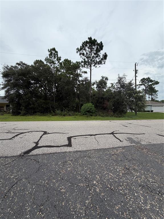 A vacant, wooded residential lot sits between two houses along a paved street — 3289 W VIKING LANE, CITRUS SPRINGS, FL