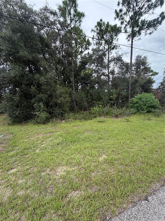 A grassy, undeveloped lot features a dense cluster of trees and shrubs in the background — 3289 W VIKING LANE, CITRUS SPRINGS, FL