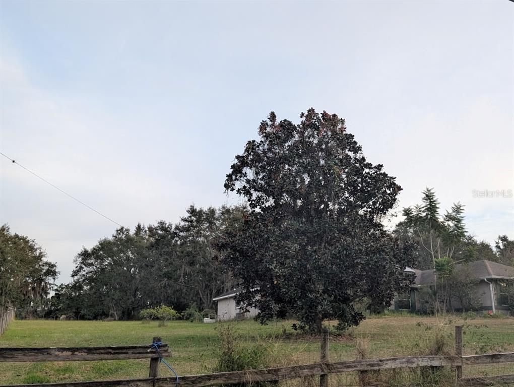 A large tree stands in a grassy yard behind a wooden fence near a house — 310 TOMATO HILL ROAD, LEESBURG, FL