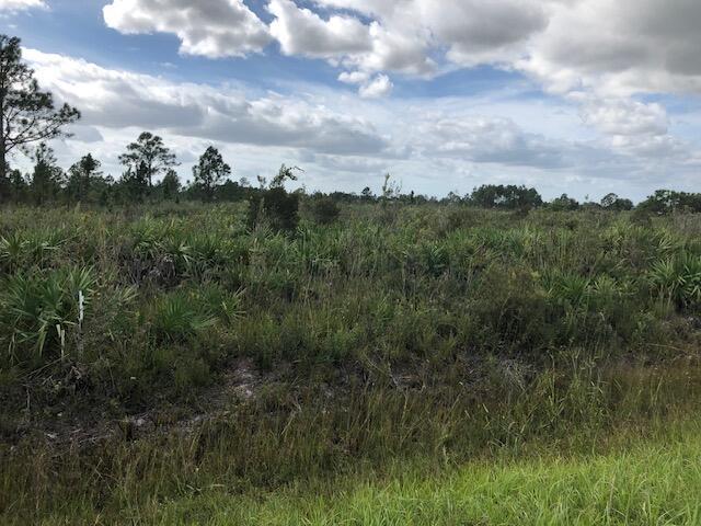 Nnne Undetermined, Ocala FL 34473