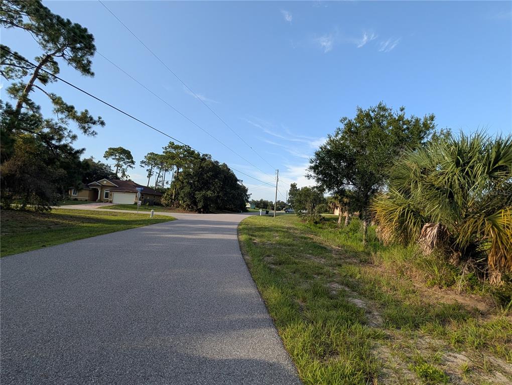 A paved road curves through a residential area with trees, shrubs, and a house visible — DELWOOD DRIVE, NORTH PORT, FL