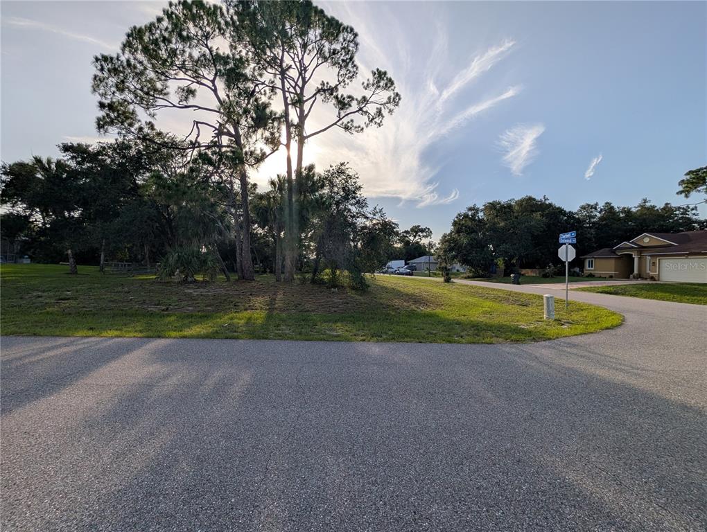 A paved road curves past a grassy corner lot with mature trees and a street sign — DELWOOD DRIVE, NORTH PORT, FL