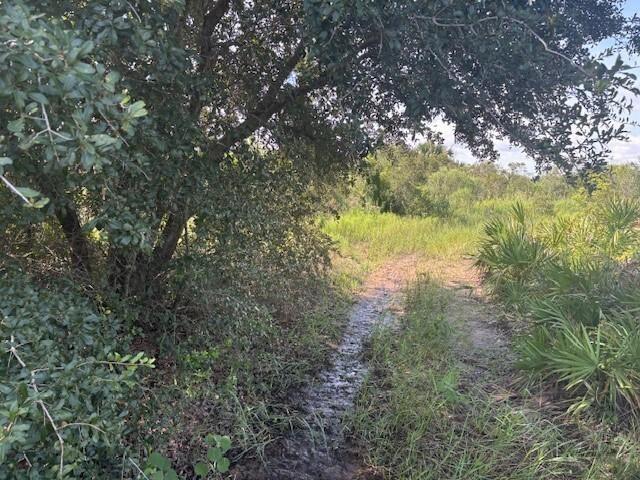 A dirt path leads through a wooded area with dense vegetation and a muddy trail — 0 NW 310th Street, Okeechobee FL 34972, OKEECHOBEE, FL