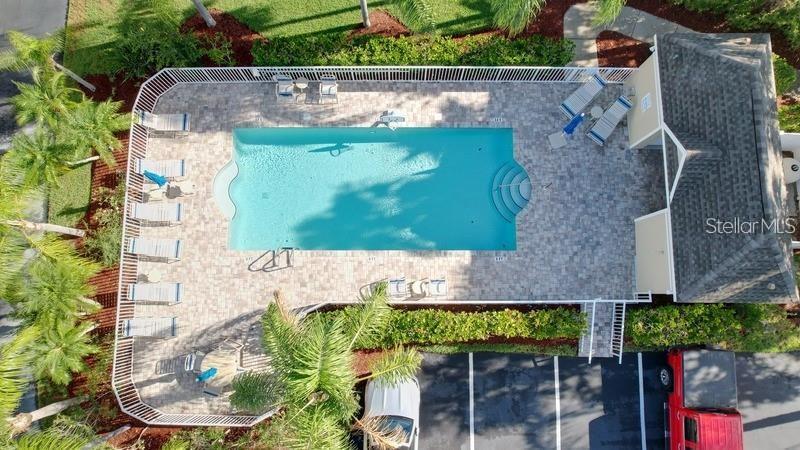 An aerial view shows a rectangular swimming pool surrounded by a paved deck and palm trees — 14 SEAGRAPE CIRCLE, CLEARWATER, FL