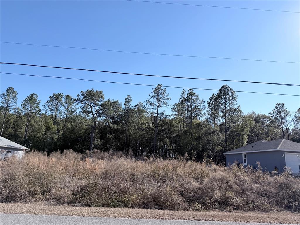 A vacant, overgrown lot sits between two houses with a line of trees in back — 0 SW 59TH LANE, DUNNELLON, FL