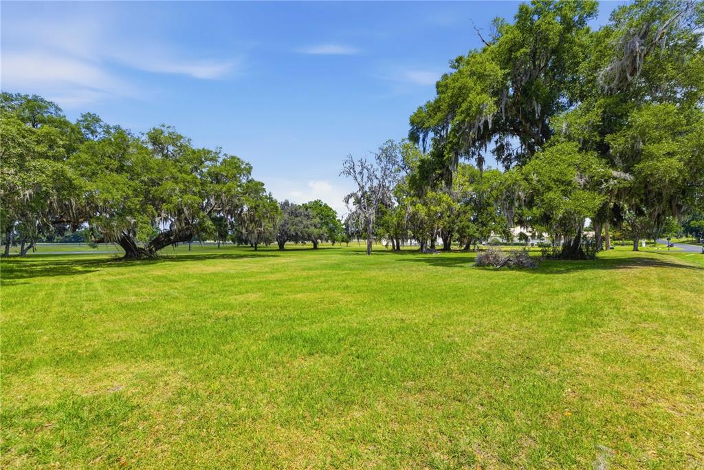 A large, grassy field is surrounded by mature oak trees with hanging Spanish moss — 0 NE 16TH TERRACE Lot 14, OCALA, FL