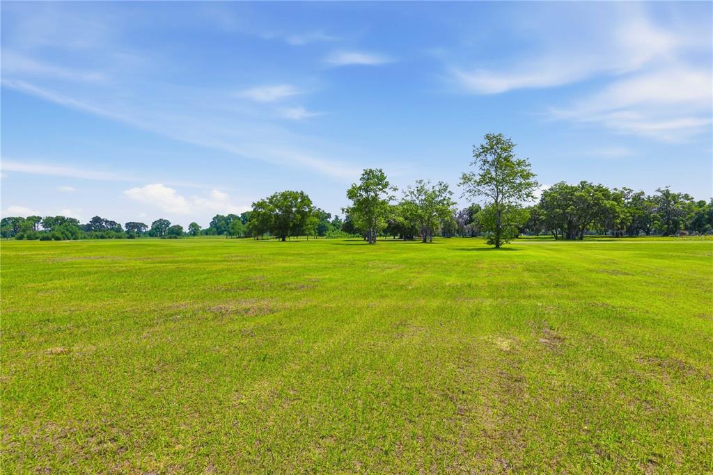 A wide, grassy field with scattered trees under a bright blue sky — 0 NE 16TH TERRACE Lot 14, OCALA, FL