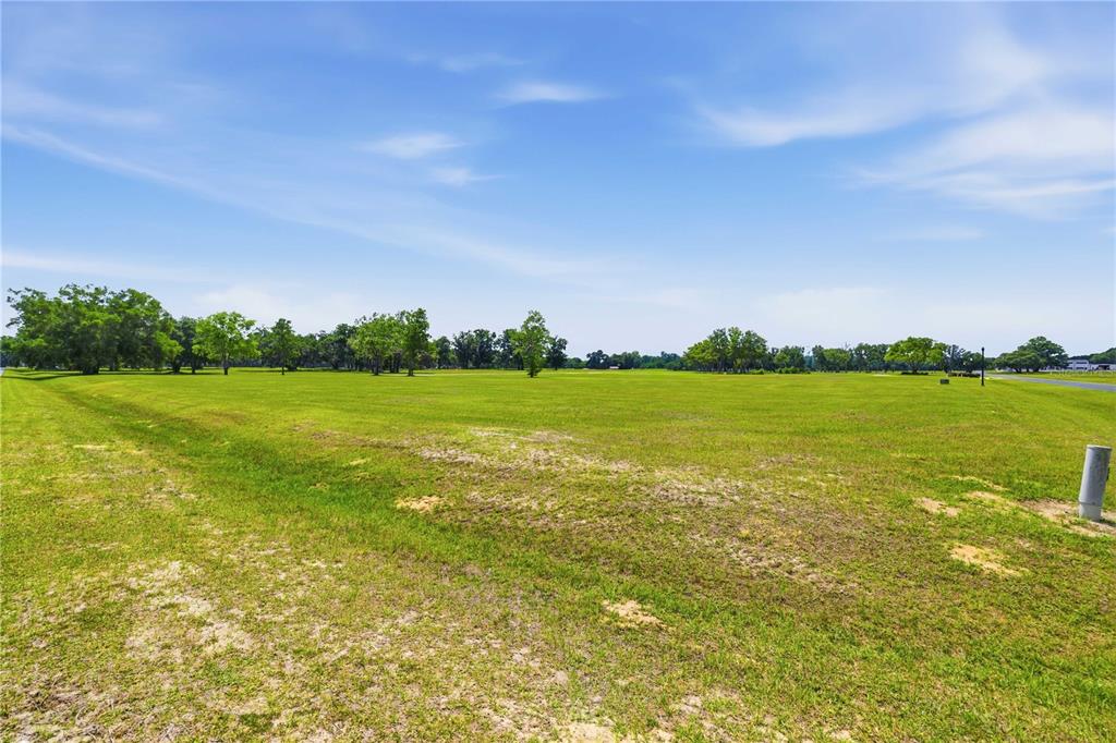A wide, grassy field features scattered trees under a bright blue sky — 0 NE 16TH TERRACE Lot 14, OCALA, FL