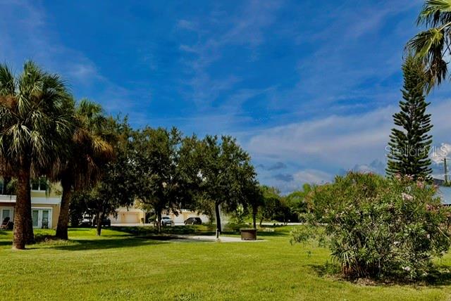 A grassy lawn with palm trees and shrubs sits in front of residential buildings — 5100 PROVIDENCE CIRCLE UNIT 3, NEW PORT RICHEY, FL