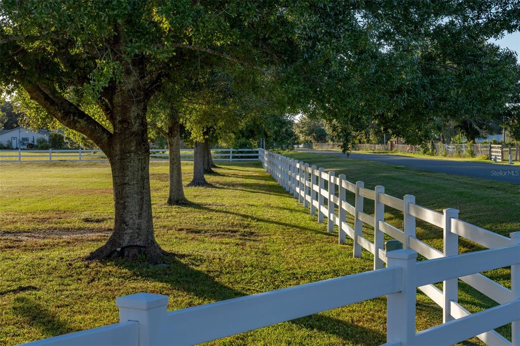 A white fence runs along a grassy yard lined with large trees beside a road — 2780 VICKIE COURT, KISSIMMEE, FL