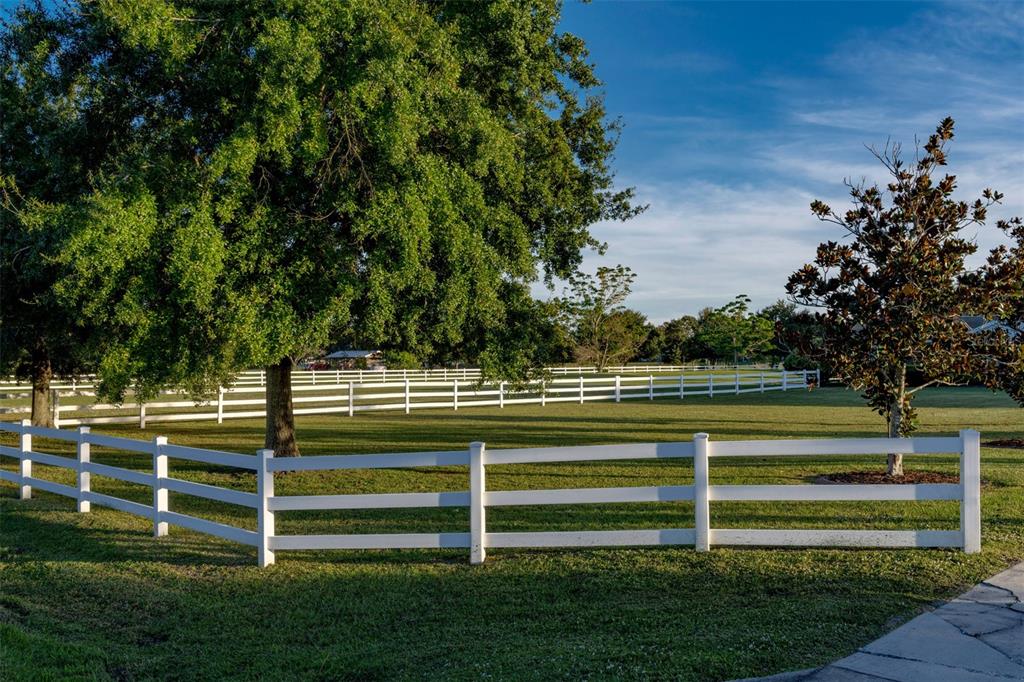 A white fence encloses a grassy yard with large trees under a blue sky — 2780 VICKIE COURT, KISSIMMEE, FL