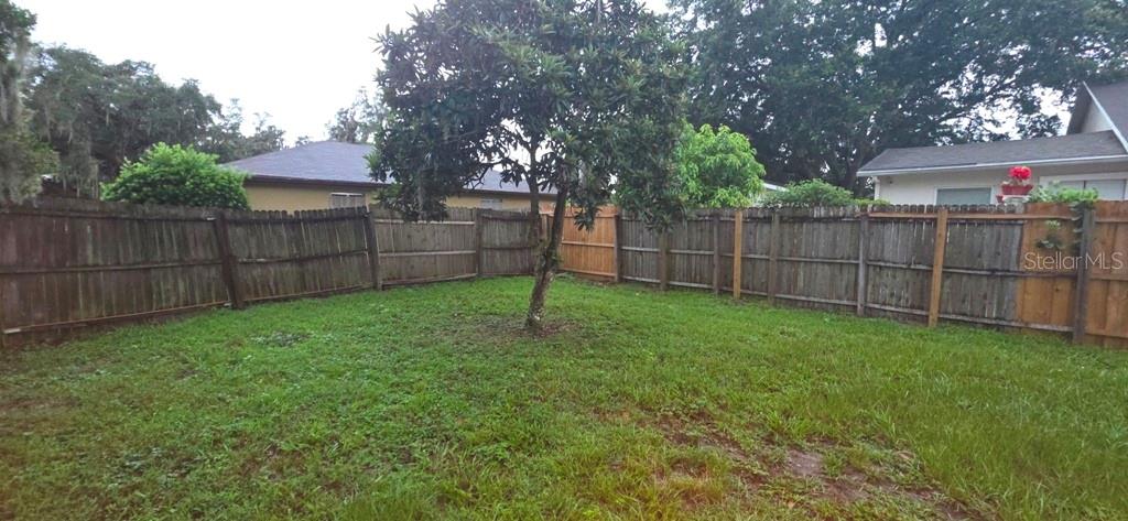 A grassy backyard features a central tree and is enclosed by a wooden privacy fence — 10350 RIVA RIDGE TRAIL, ORLANDO, FL