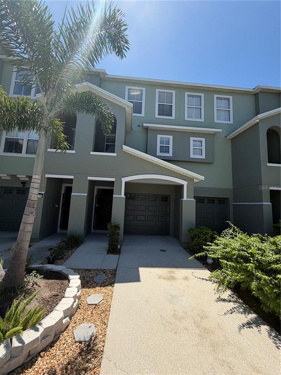 A multi-story townhouse exterior features a concrete driveway, a palm tree, and gray siding — 4817 TUSCAN LOON DRIVE, TAMPA, FL