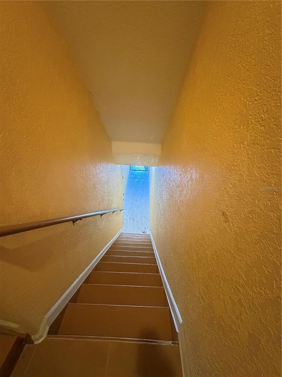 A downward view of a carpeted staircase with yellow walls and a wooden handrail — 4817 TUSCAN LOON DRIVE, TAMPA, FL