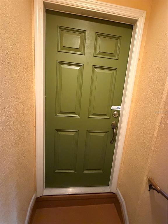 A green six-panel door is set within a light-colored entryway with a brown floor — 4817 TUSCAN LOON DRIVE, TAMPA, FL
