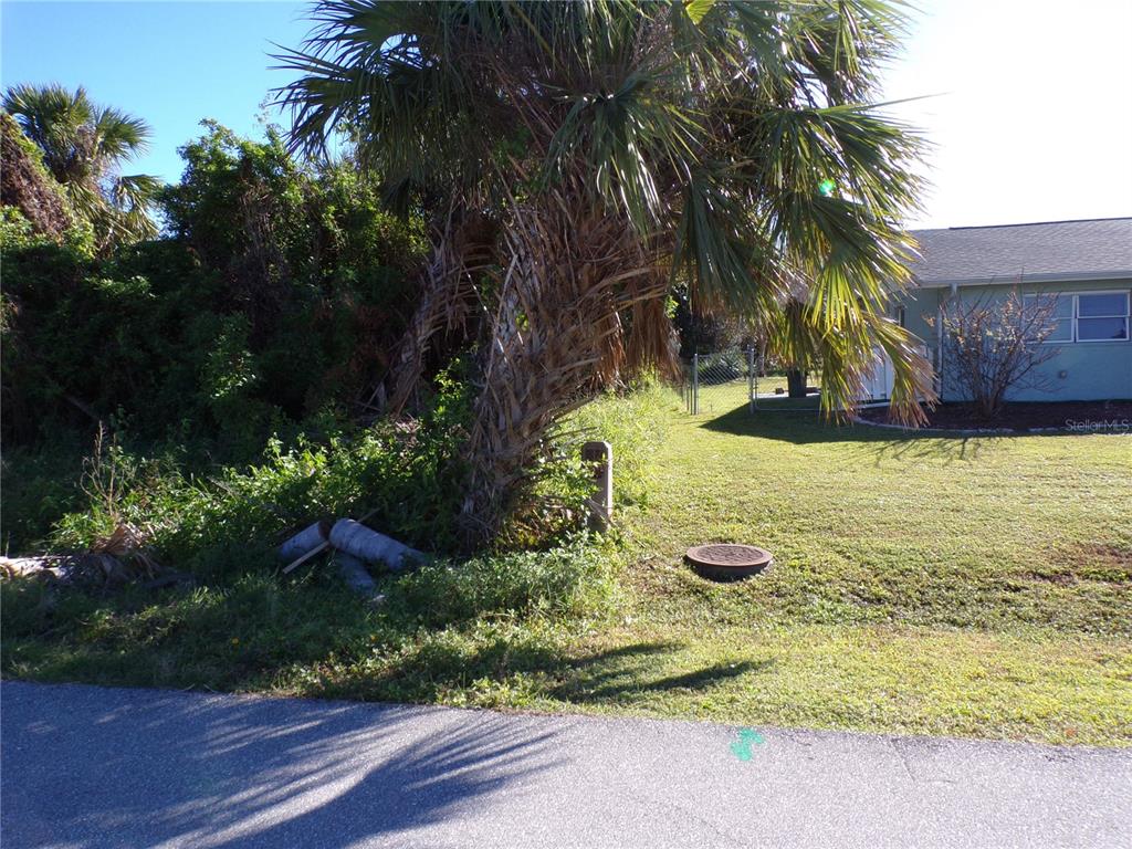 A palm tree and overgrown vegetation stand next to a grassy yard and a utility cover — 641 NORWOOD STREET NW, PORT CHARLOTTE, FL