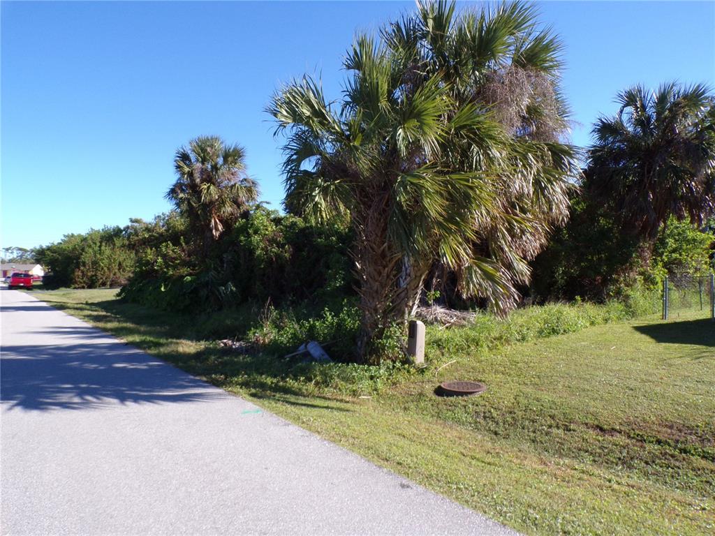 A paved road runs alongside a grassy lot featuring several palm trees and dense vegetation — 641 NORWOOD STREET NW, PORT CHARLOTTE, FL