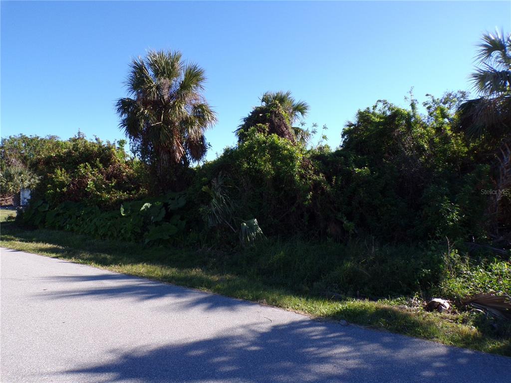 A paved road runs alongside a dense, overgrown lot with palm trees and thick vegetation — 641 NORWOOD STREET NW, PORT CHARLOTTE, FL