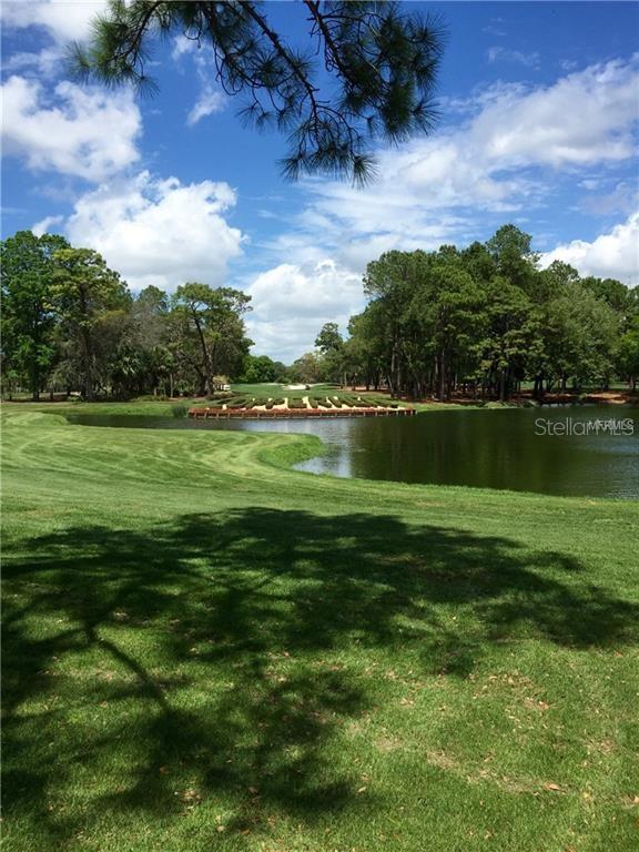 A view of a golf course green across a pond with surrounding trees and landscaping — 36750 US HIGHWAY 19 N UNIT 2879, PALM HARBOR, FL