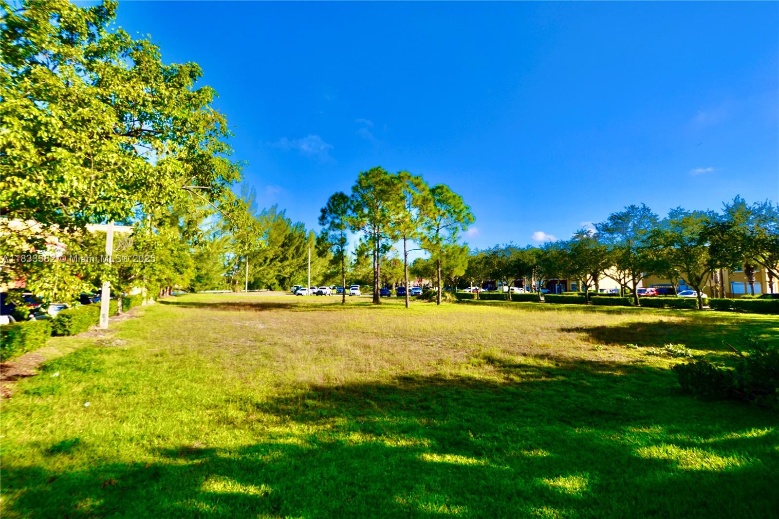 A grassy, open lot is surrounded by trees and residential buildings under a blue sky — 12957 SW 132nd Ter, Miami FL 33186, MIAMI, FL