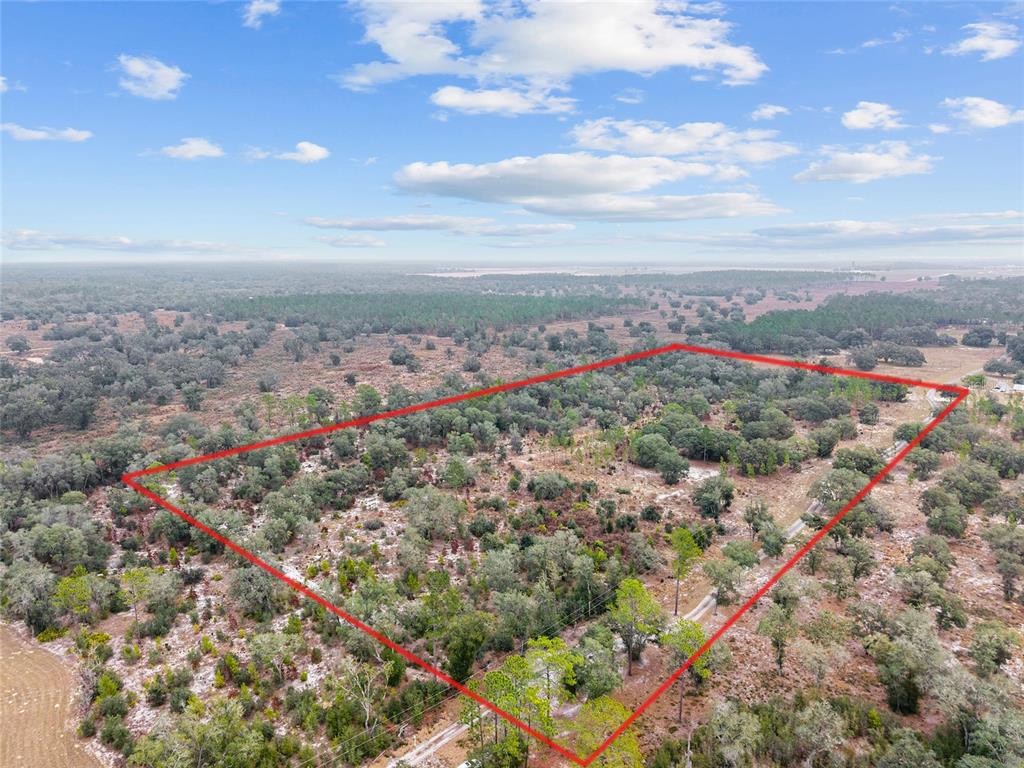 An aerial view shows a large, wooded plot of land outlined in red — NE 131 PLACE, ARCHER, FL