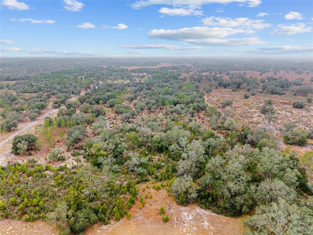 An aerial view shows a large, wooded lot with scattered trees and patches of brush — NE 131 PLACE, ARCHER, FL