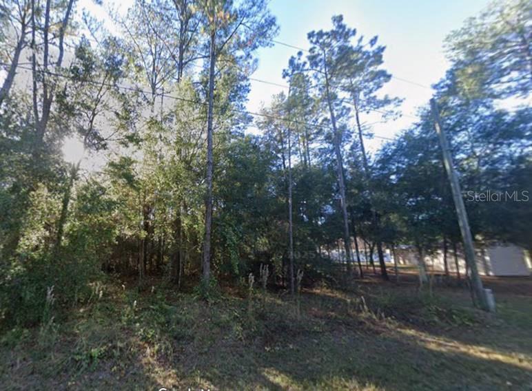 A wooded, undeveloped lot features tall pine trees and a utility pole under a blue sky — Lot 26 GUAVA PASS DRIVE, OCKLAWAHA, FL