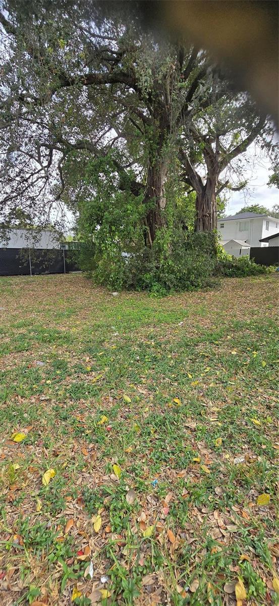 A large, mature tree stands in the center of a grassy, leaf-covered residential lot — 2948 NW 46th Street, Miami FL 33142, MIAMI, FL