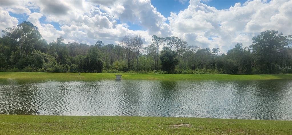A view of a pond with a grassy bank and a wooded treeline in the background — 9032 CAPE COD ROAD, DELAND, FL