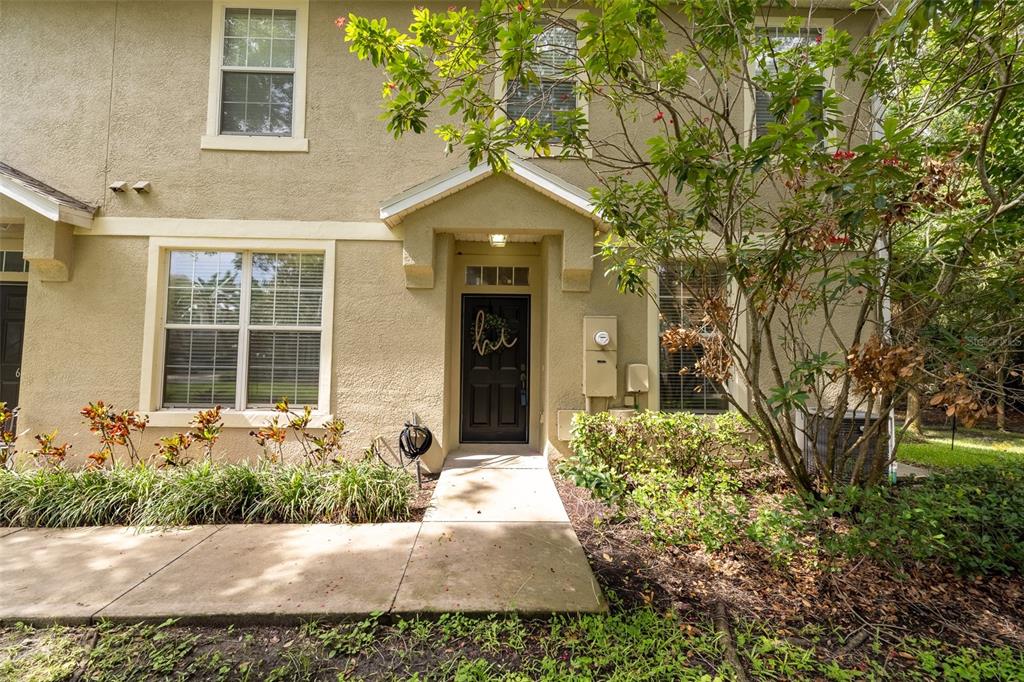 6717 EAGLE FEATHER DRIVE, RIVERVIEW, FL — photo 3 of 30