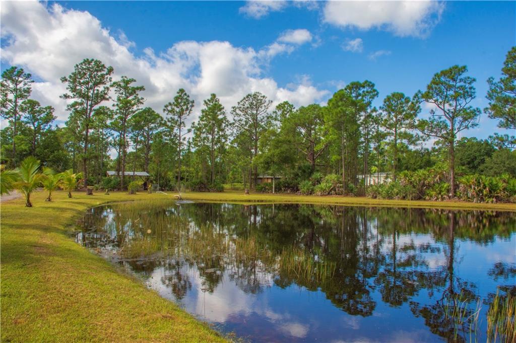 A pond sits in front of a grassy lawn surrounded by tall pine trees — 13955 87th Street, Fellsmere FL 32948, FELLSMERE, FL
