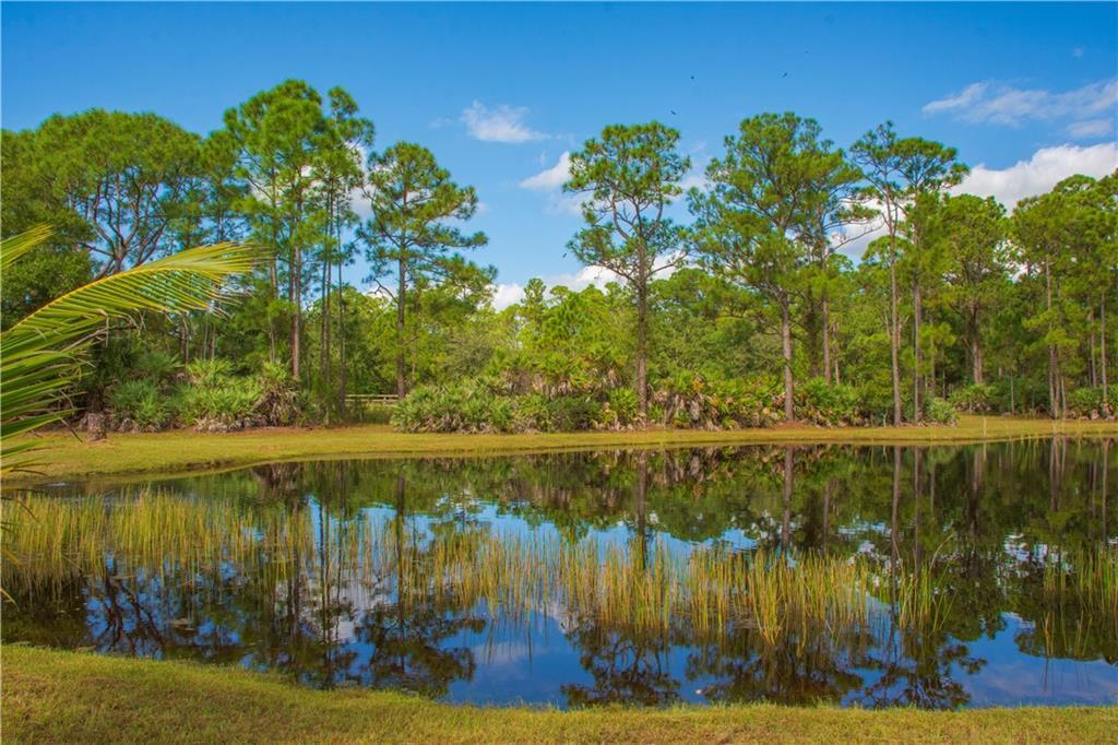 A pond sits in front of a grassy lawn and a line of pine trees — 13955 87th Street, Fellsmere FL 32948, FELLSMERE, FL