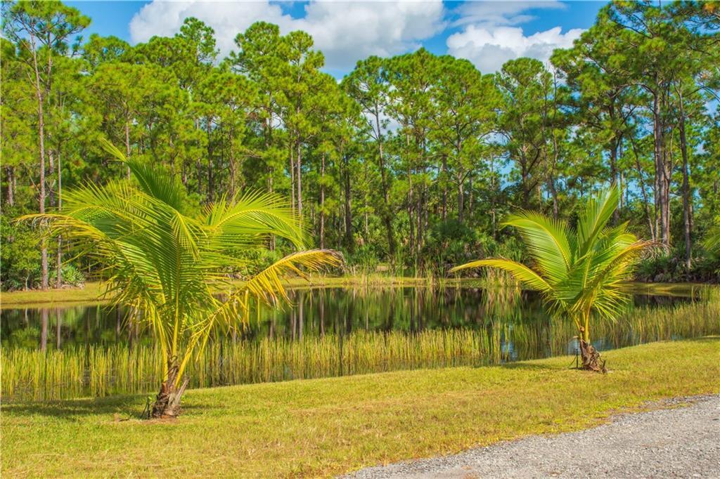 Two small palm trees stand on a grassy lawn beside a pond near pine trees — 13955 87th Street, Fellsmere FL 32948, FELLSMERE, FL