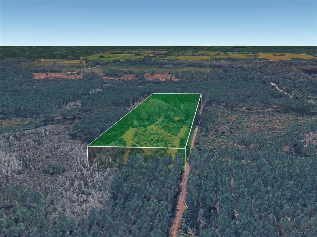 An aerial view shows a rectangular plot of land highlighted in green amidst a forest — BOY SCOUT CAMP ROAD, NEW SMYRNA BEACH, FL