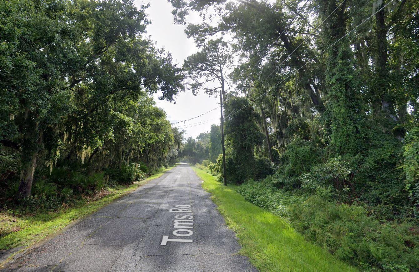 A narrow, paved road winds through a dense, tree-lined forest with hanging Spanish moss — 268 Toms Road, FL 32713, FL