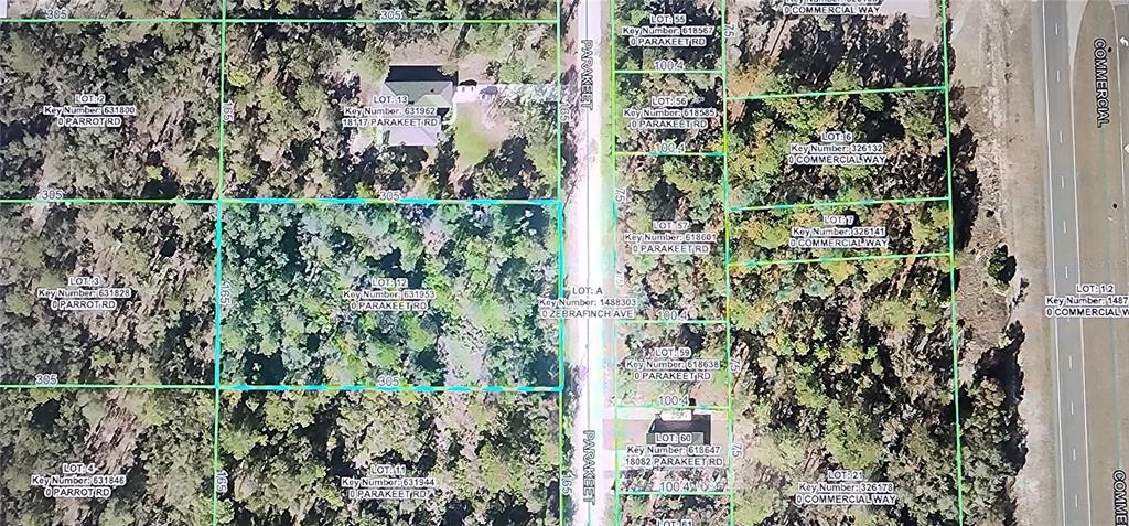 This is an aerial map showing multiple land lots with property lines and labels — 18099 PARAKEET ROAD, BROOKSVILLE, FL