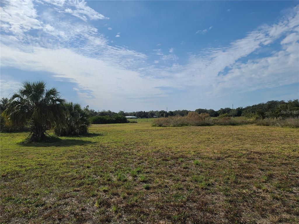 A wide, grassy field features a few palm trees under a blue, cloudy sky — 0 N BREVARD AVENUE, ARCADIA, FL
