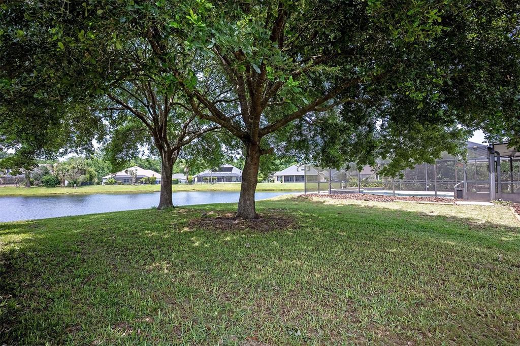 A grassy backyard features two large trees overlooking a lake with neighboring houses in view — 265 MOSES CREEK BOULEVARD, ST AUGUSTINE, FL
