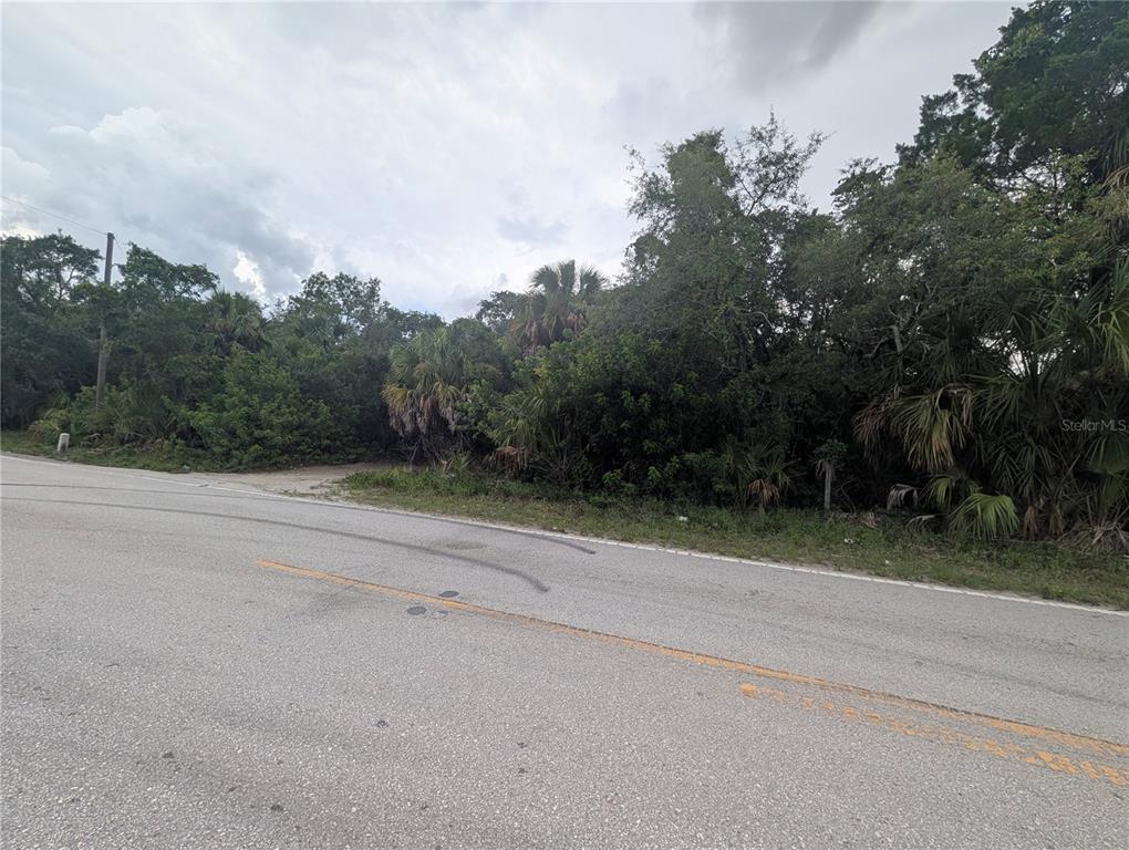 A paved road runs in front of a densely wooded, undeveloped lot — 00 BOLTON AVENUE, HUDSON, FL