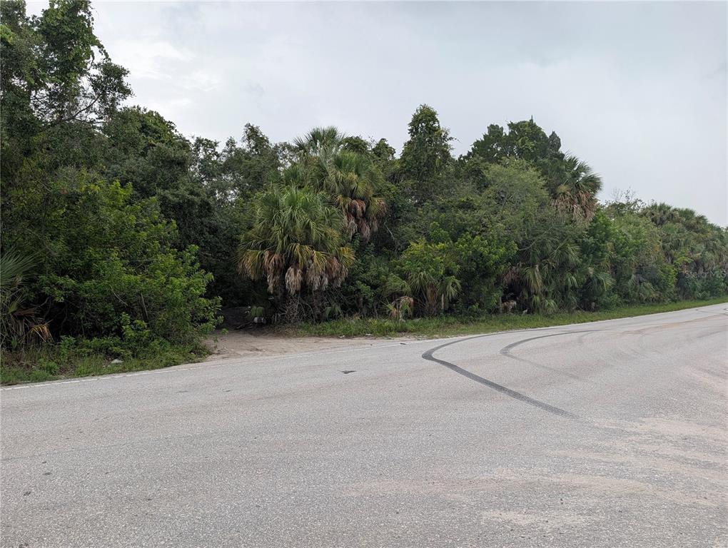 A paved road curves past a dense, wooded lot with palm trees and thick vegetation — 00 BOLTON AVENUE, HUDSON, FL