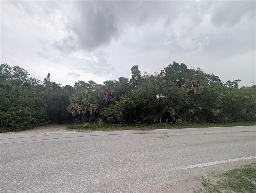 A paved road runs in front of a densely wooded, undeveloped lot — 00 BOLTON AVENUE, HUDSON, FL