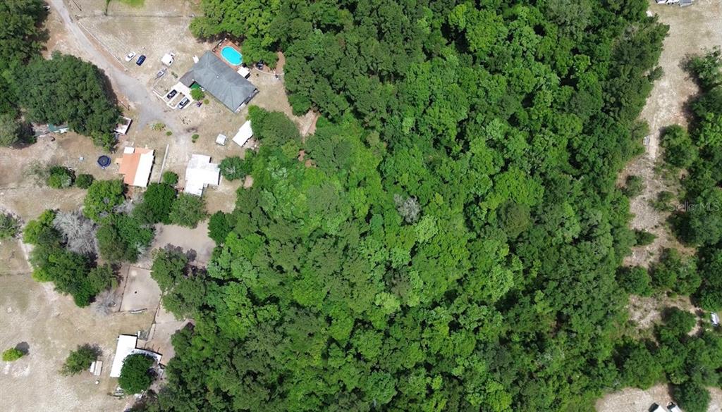 An aerial view shows a house with a pool surrounded by a large wooded area — MARSHALL LANE, GREEN COVE SPRINGS, FL