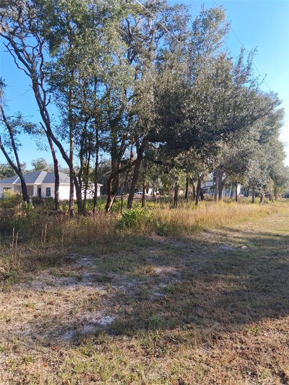 0 AUGUST AVENUE, WEBSTER, FL — photo 2 of 4